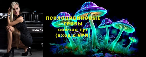 трава Арсеньев