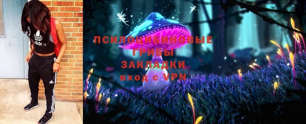 трава Арсеньев