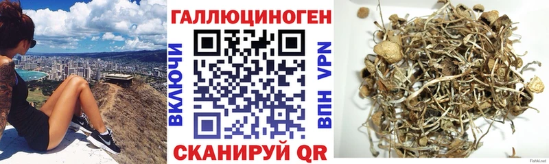 Галлюциногенные грибы MAGIC MUSHROOMS  KRAKEN   Олёкминск 